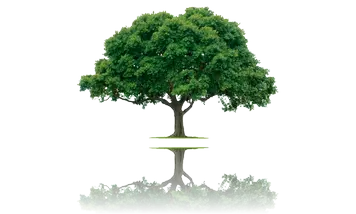 Podas y tala de árboles