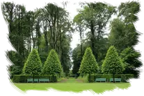 Tala y poda en altura Madrid Podas en altura Madrid