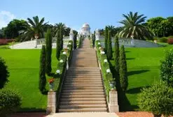 Servicios de arboricultura TALA Y PODA Poda y Tala de árboles
